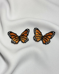 Aretas mariposa salvaje