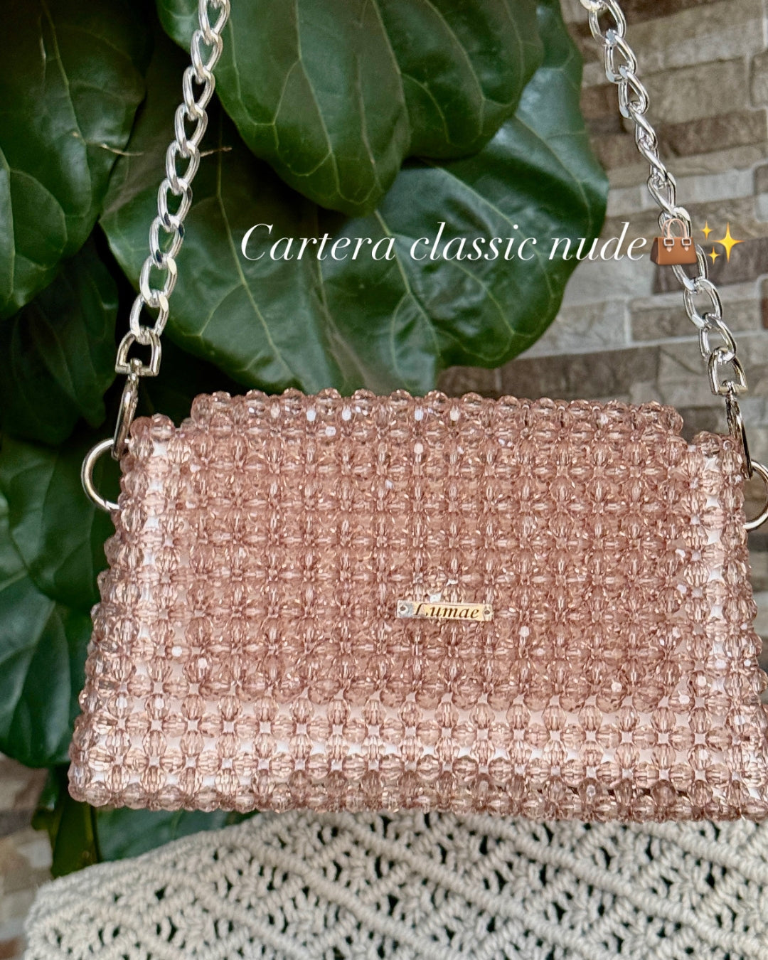 Cartera classic nude